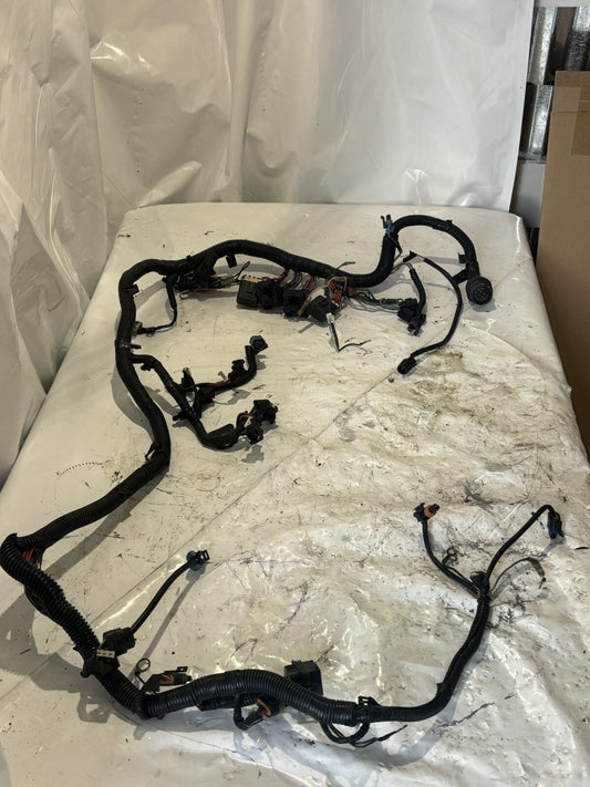 OEM Mercury 60 EFI Complete Wiring Harness 8M0020882 Fresh Water