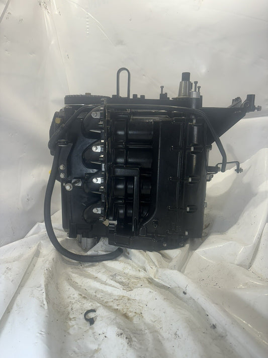 MERCURY MARINE OUTBOARD 40 50 60 HP 4-STROKE CARB POWERHEAD BLOCK 878344T02