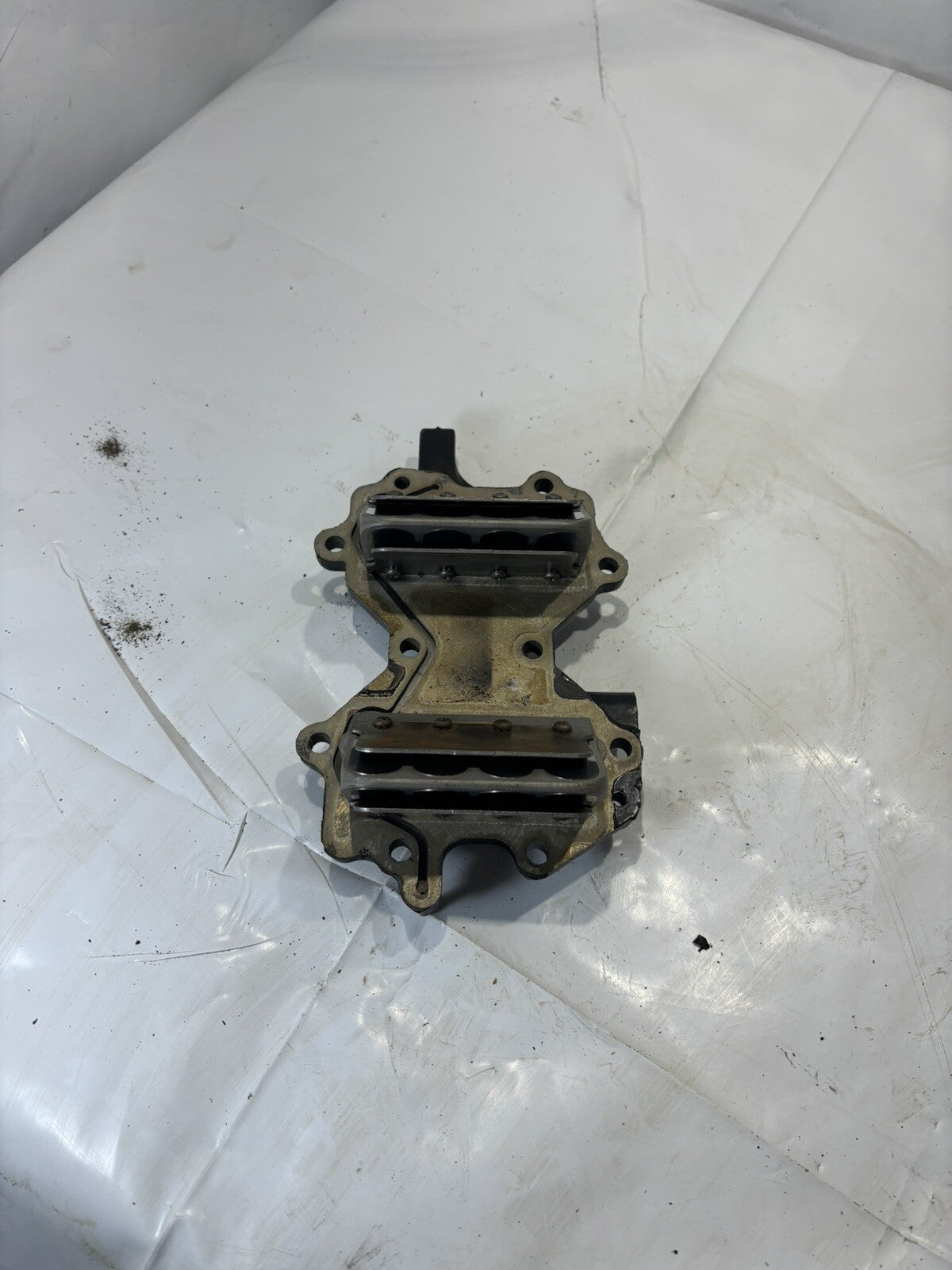 JOHNSON EVINRUDE AIR INTAKE MANIFOLD AND REEDS