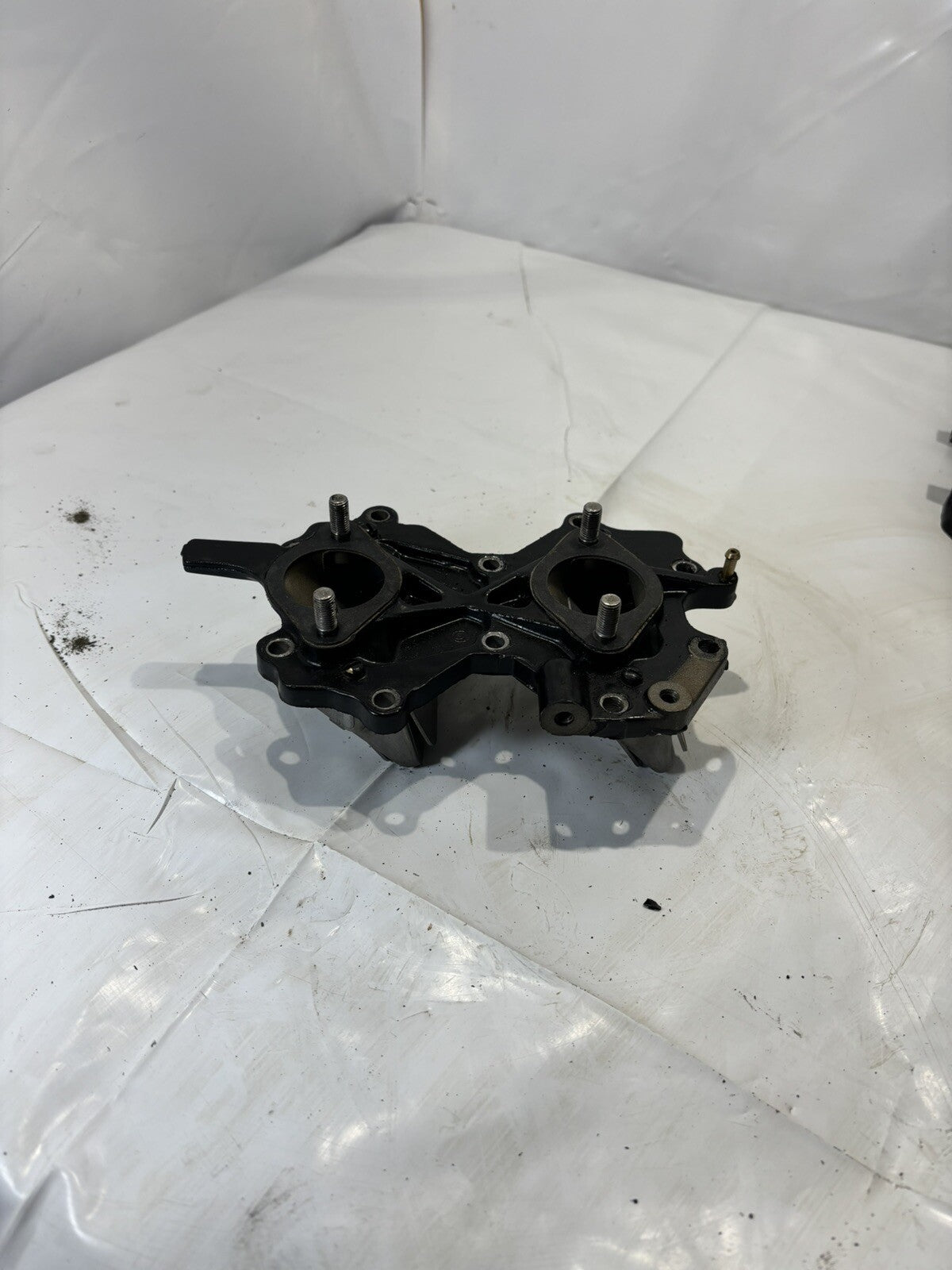 JOHNSON EVINRUDE AIR INTAKE MANIFOLD AND REEDS