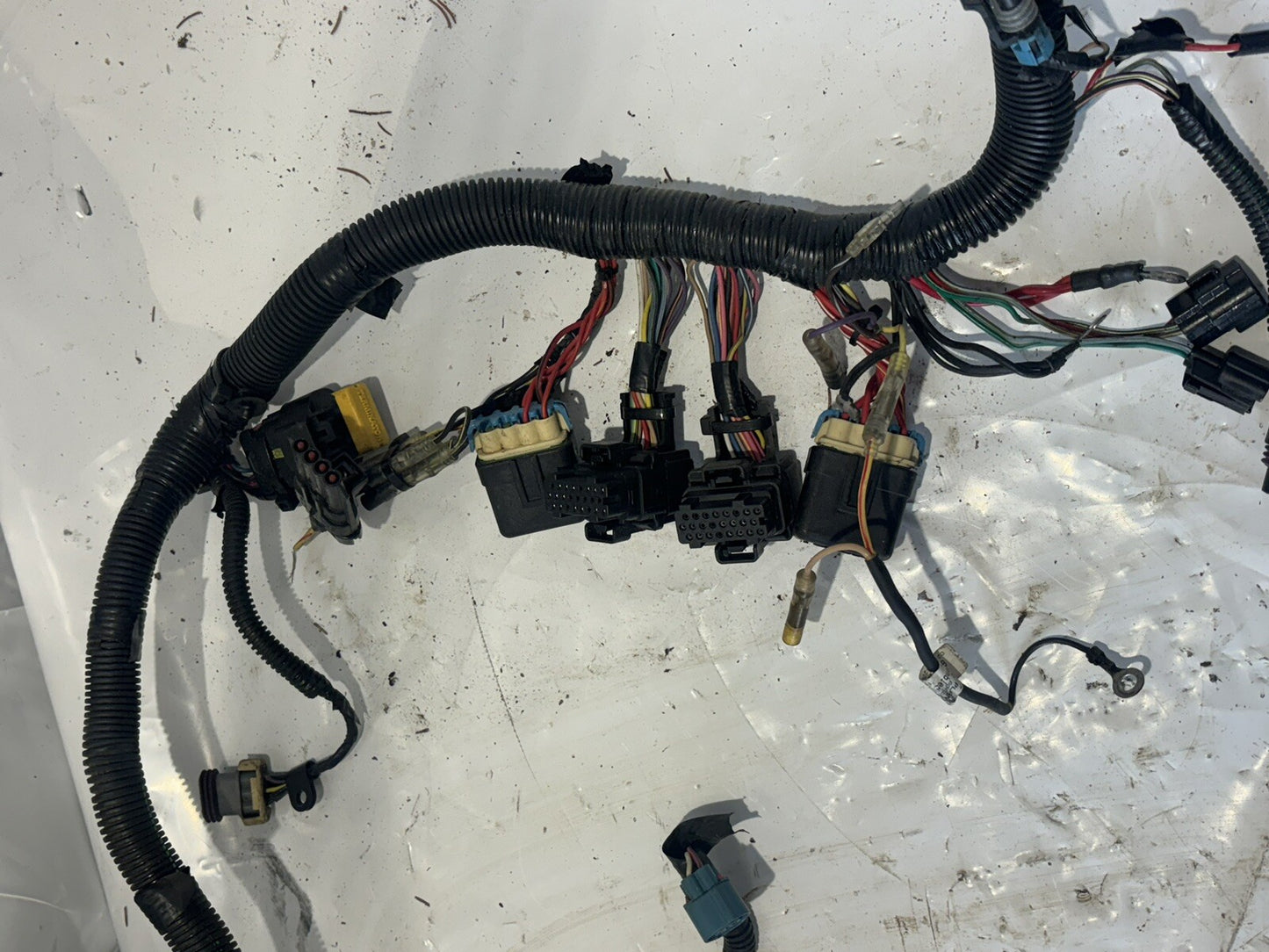 OEM Mercury 60 EFI Complete Wiring Harness 8M0020882 Fresh Water
