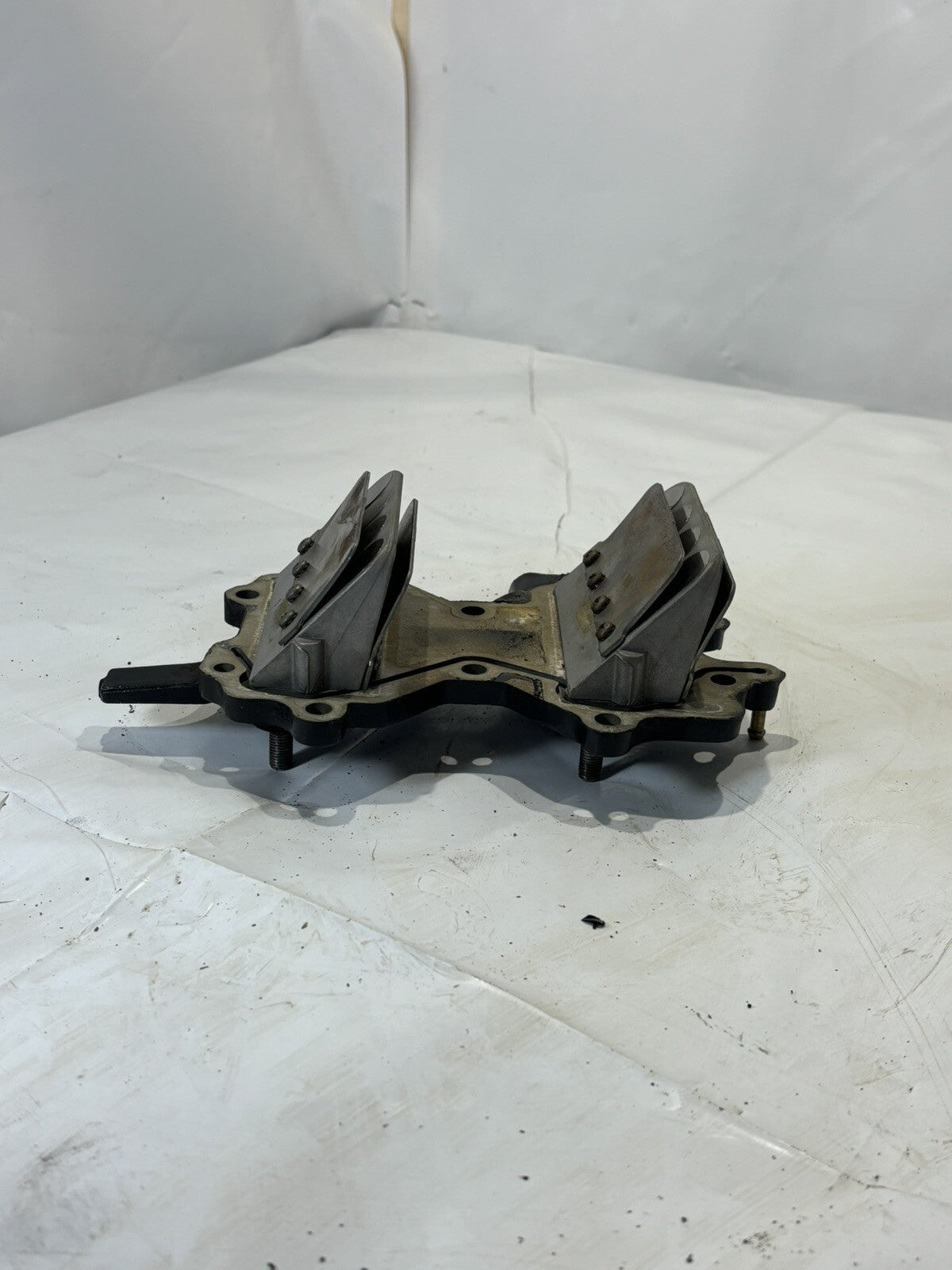 JOHNSON EVINRUDE AIR INTAKE MANIFOLD AND REEDS